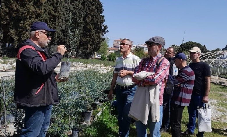 edremitte zeytin budama kursu uygulamali egitimle tamamlandi 0a3eebdb7634 |