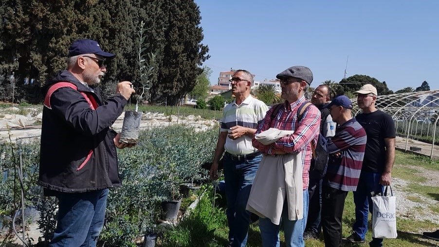 edremitte zeytin budama kursu uygulamali egitimle tamamlandi 0a3eebdb7634 |
