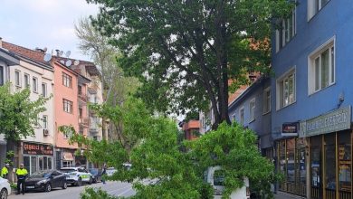 kirilan agac kamyonetin uzerine devrildi 06011da8cfa5 |
