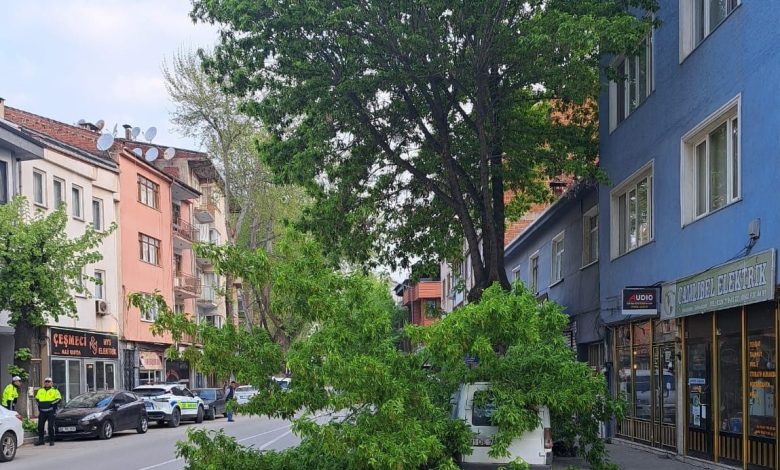 Kırılan ağaç, kamyonetin üzerine devrildi 1 kirilan agac kamyonetin uzerine devrildi 06011da8cfa5 |