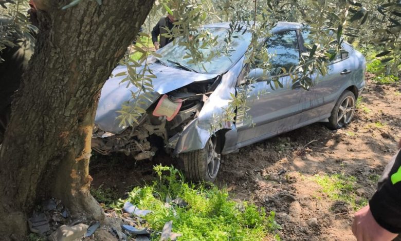 kopege carpmamak icin kaza yapti 4161560d6a9c |