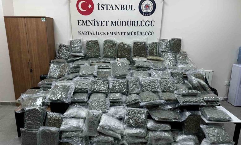 Maltepe’de petshop görünümlü depoda 100 kilo uyuşturucu ele geçirildi 1 maltepede petshop gorunumlu depoda 100 kilo uyusturucu ele gecirildi 1825311f6588 |