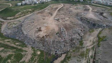 osmangazide hayvan katliami kenti ayaga kaldirdi b5de92b3f0c5 |