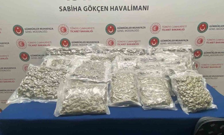 Ticaret Bakanlığı gümrük muhafaza ekipleri 182 kilogram uyuşturucuya el koydu 1 ticaret bakanligi gumruk muhafaza ekipleri 182 kilogram uyusturucuya el koydu 3a5cfdb67e7b |