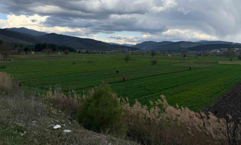 Yaşlı adamdan 2 gündür haber alınamıyor 1 yasli adamdan 2 gundur haber alinamiyor 008515ed7d88 |