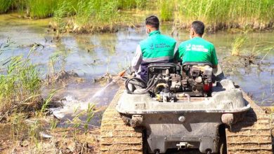 aliaga belediyesinden haserelere karsi yogun mucadele 3fee3519d201 |