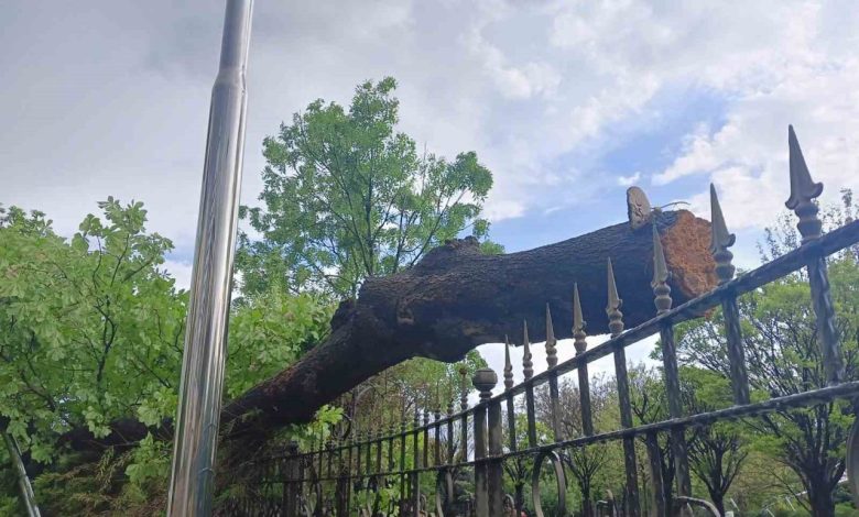 Ankara’da fırtına ağaçları devirdi 1 ankarada firtina agaclari devirdi 8a620ff5316c |