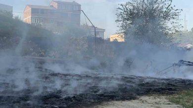 arnavutkoyde fabrika bahcesinde korkutan yangin 1322f36c8c4f |