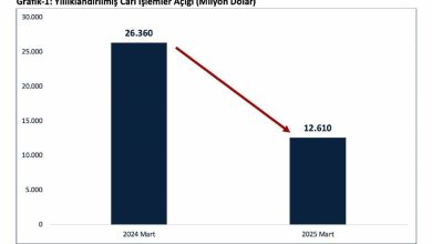 bakan bolat cari islemler acigi mart ayinda 126 milyar dolara geriledi 3634da10825e |