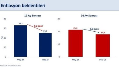 bakan simsek 12 ay sonrasi enflasyon beklentisi yuzde 251e geriledi a49685d0d256 |