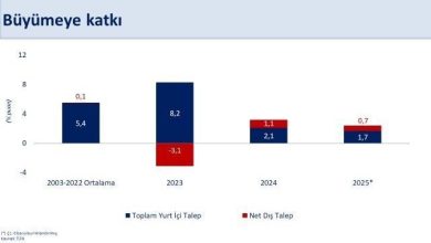 bakan simsek ilk ceyrekte buyume yillik yuzde 2 olarak gerceklesti ed2d73919e1e |