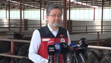 bakan yumakli hayvan basina aylik 1500 lira yillik toplam 18 bin lira bakim ve besleme destegi verecegiz 64848a781382 |