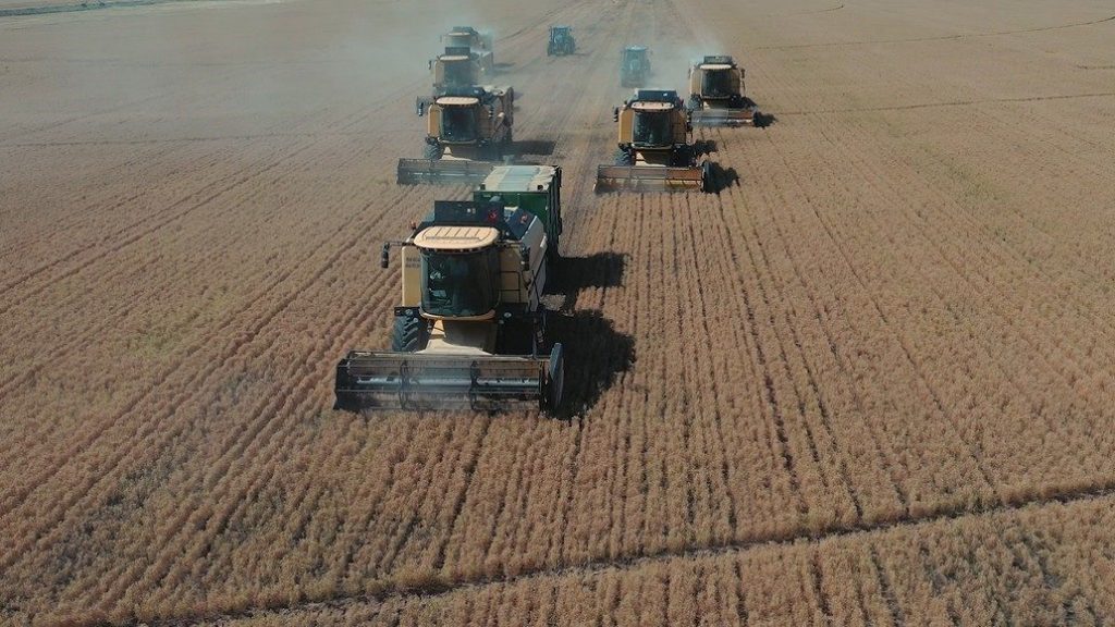 bakan yumakli tigem sanliurfa ceylanpinar tarim isletmesinde yilin ilk hasadina baslandi ba87c0f29228 |