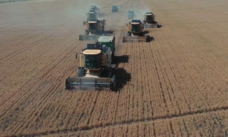 bakan yumakli tigem sanliurfa ceylanpinar tarim isletmesinde yilin ilk hasadina baslandi ba87c0f29228 |