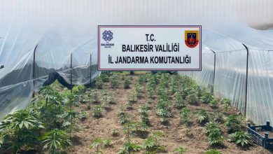 balikesirde jandarmadan organize suclara karsi genis capli operasyon 7c910d0b9b7d |
