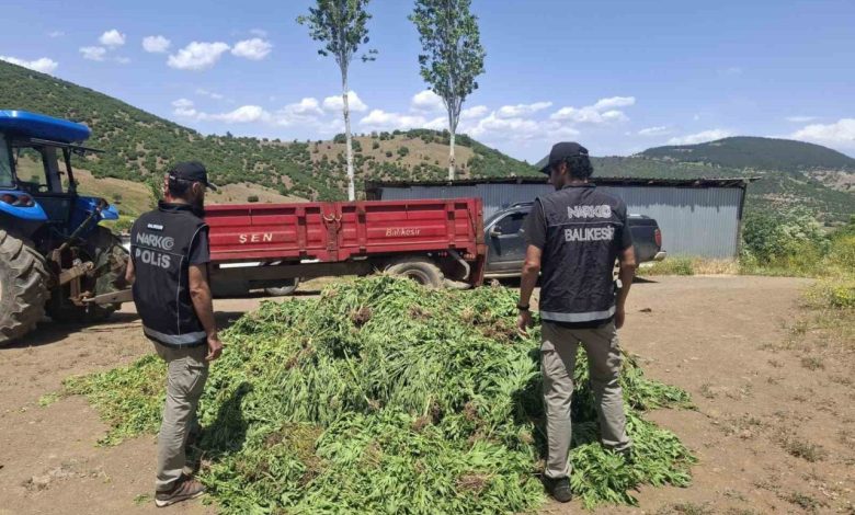 Balıkesir’de kenevir bahçesine operasyon 1 balikesirde kenevir bahcesine operasyon 3830e22e3127 |