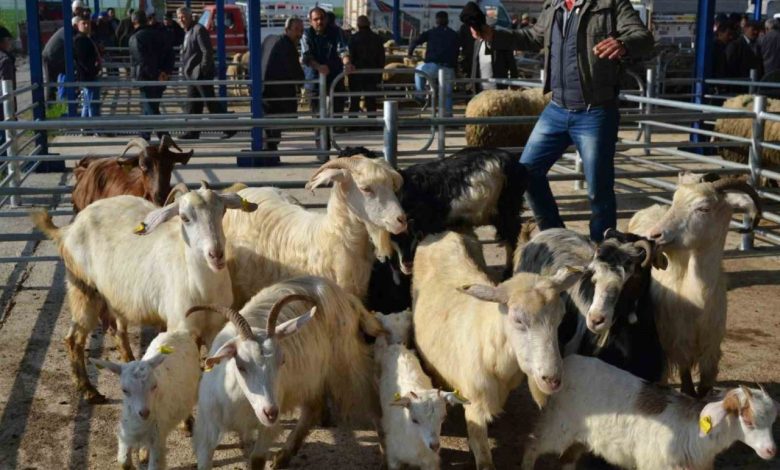 Balıkesir’de şap alarmı: 15 mahalle karantinaya alındı 1 balikesirde sap alarmi 15 mahalle karantinaya alindi 78a134d1300a |
