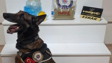 balikesirde uyusturucu operasyonu 4d2b7afb5571 |