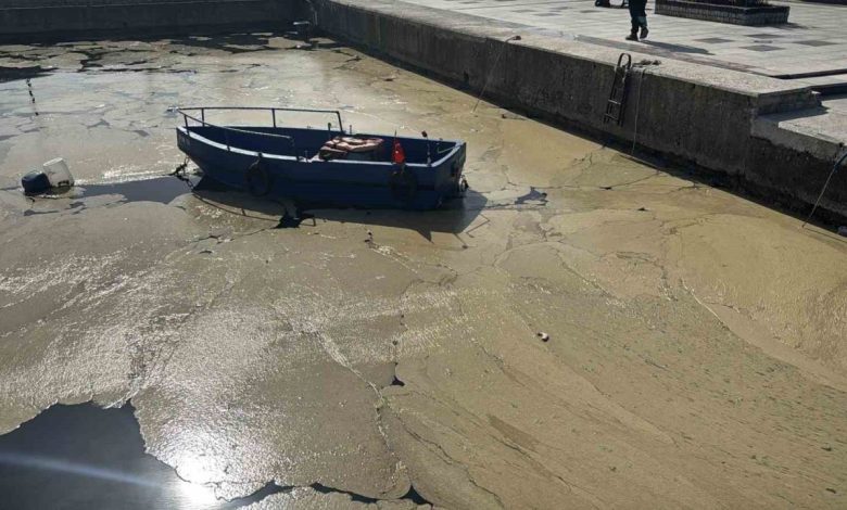 bandirma ve gonen sahillerinde musilaj yuzeye cikti abb64ce9ce2d |