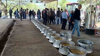 bayramicte 20 bin kisinin katilimi ile garipce koy hayri yapildi 95b3c210734c |