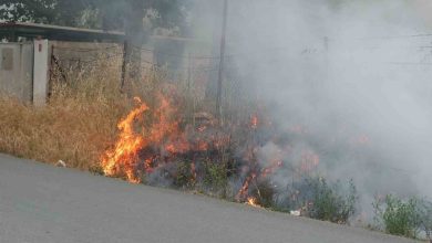 burhaniyede ot yangini korkuttu 414693f5b3a2 |