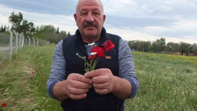 burhaniyede tarlalar gelincik acti 9f2ba1e1d7ca |