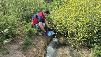 canakkalede celtik ekim alanlarinda sivrisinek mucadelesi basladi 9214ec620136 |