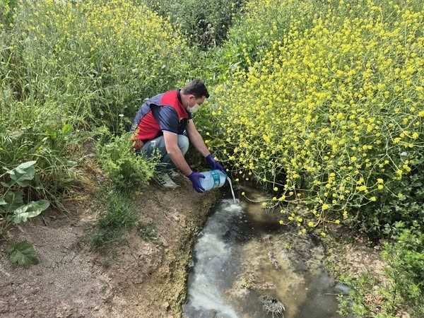 canakkalede celtik ekim alanlarinda sivrisinek mucadelesi basladi 9214ec620136 |