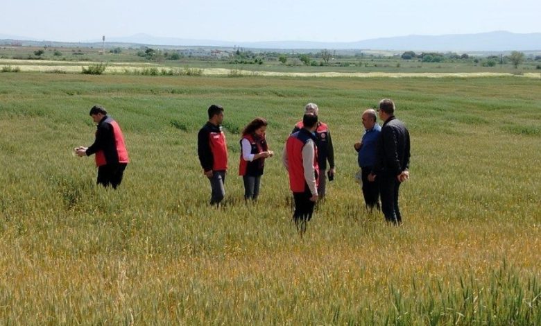 canakkalede ureticilerin ekili dikili alanlarinda saha incelemesi yapildi 02539a2d3301 |