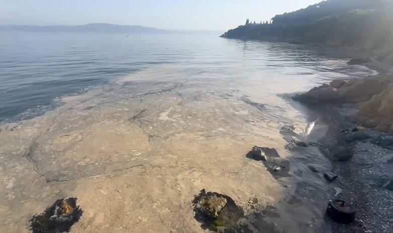 Gemlik’te müsilaj paniği 1 gemlikte musilaj panigi bcc999027507 |