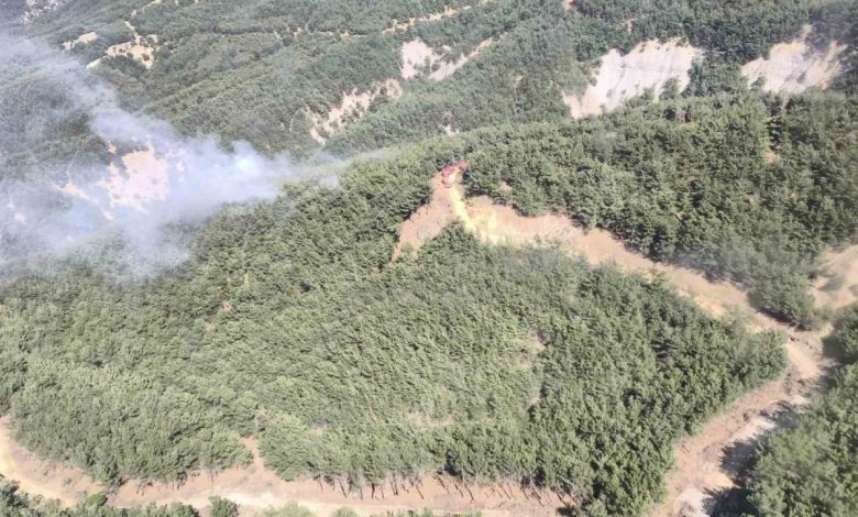 Gökçeada’da orman yangını 1 gokceadada orman yangini 4b82ebc40240 |