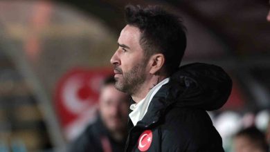 gokhan gonul umit milli takim teknik direktorlugu gorevinden ayrildi fe1058668d35 |
