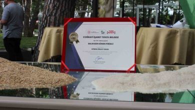 gonen baldo pirinci artik tescilli 1aed63ea69f5 |