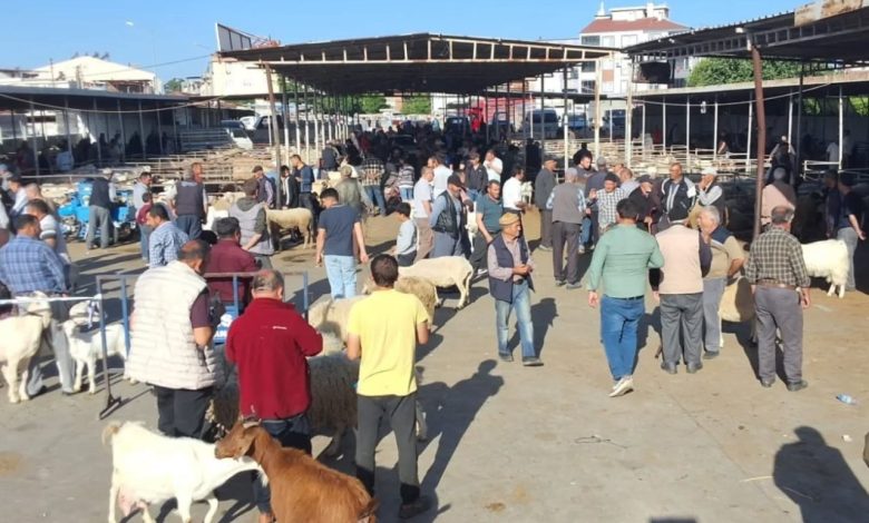 havranda kurban bayrami oncesi hayvan pazari denetlendi ad7ad0c3db8c |