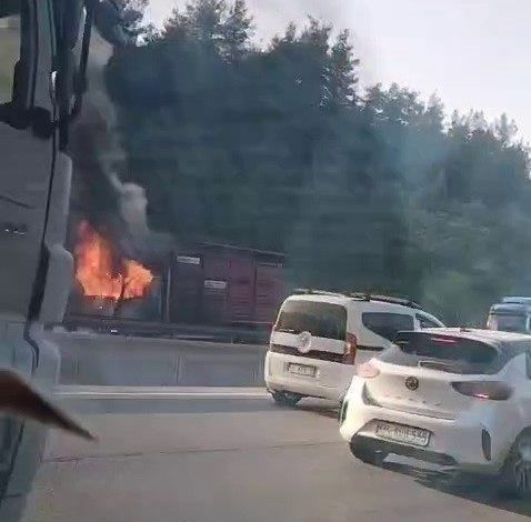 Hayvan yüklü kamyon alevlere teslim oldu 1 hayvan yuklu kamyon alevlere teslim oldu d1cf7e0d3672 |