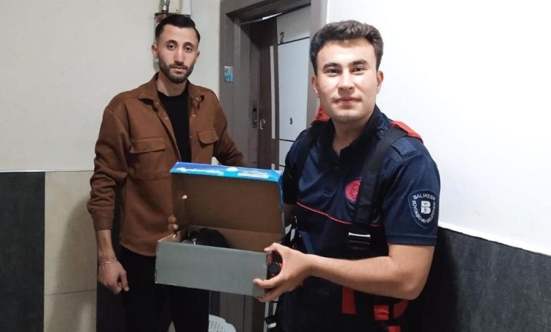 İtfaiye erleri kurtardıkları karga yavrularını elleriyle besledi 1 itfaiye erleri kurtardiklari karga yavrularini elleriyle besledi 5cc9726e0a1b |