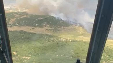 izmir focada tarim arazisinde baslayan yangin ormana sicradi 9dfdbaf6c52f |