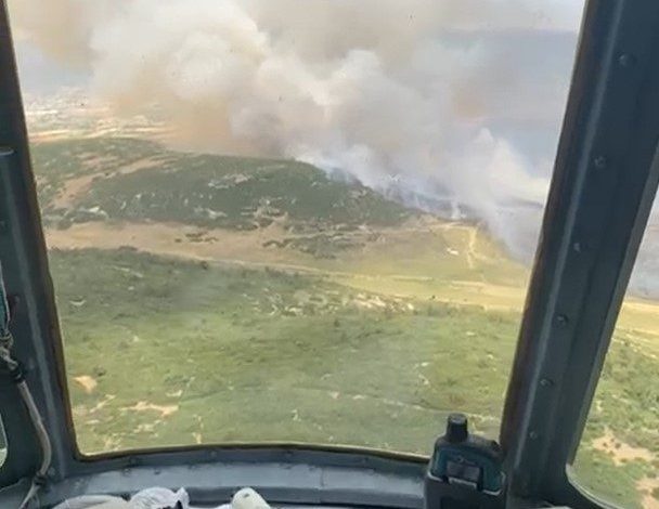 izmir focada tarim arazisinde baslayan yangin ormana sicradi 9dfdbaf6c52f |