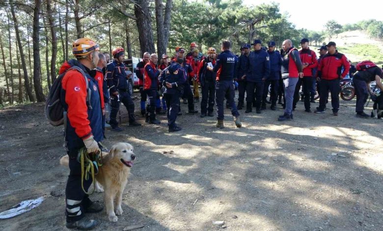 kayip cevre sehircilik ve iklim degisikligi il mudur yardimcisini arama calismalari 120 kisilik ekiple devam ediyor 0d7646d78ddc |