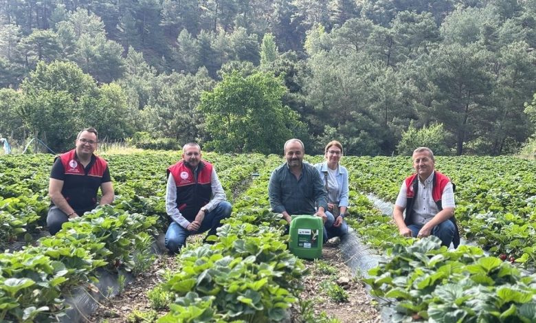 Kaymakam Özderin, çilek hasadına katıldı 1 kaymakam ozderin cilek hasadina katildi da14eac705f4 |