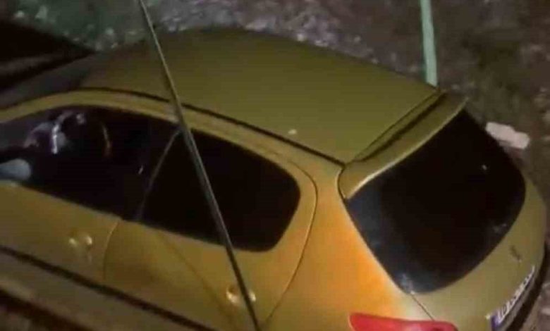 Köpeğe çarpmamak için manevra yaptı, şarampolden uçtu 1 kopege carpmamak icin manevra yapti sarampolden uctu 3ba42d948244 |