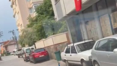 sokak ortasinda gezen tavus kusu suruculere ilginc anlar yasatti cb579fa632d1 |