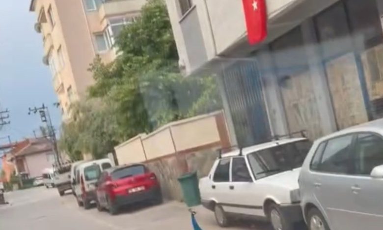 sokak ortasinda gezen tavus kusu suruculere ilginc anlar yasatti cb579fa632d1 |