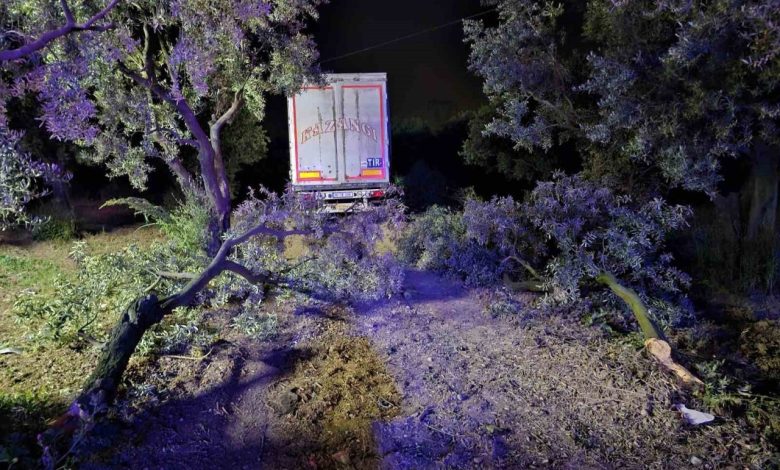 tir otomobili bicti 1 olu 1 yarali a016ab2e28b0 |