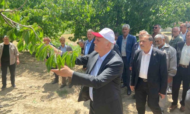 tzob baskani bayraktar 65 vilayetimizde buyuk bir zirai don felaketi ile karsi karsiya kaldik 30efa369f33e |