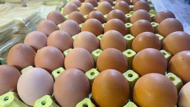 Yumurta kabuğu deyip geçmeyin sanayide çok değerli 3 yumurta kabugu deyip gecmeyin sanayide cok degerli 49edf812f829 |