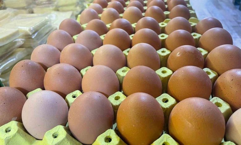 Yumurta kabuğu deyip geçmeyin sanayide çok değerli 1 yumurta kabugu deyip gecmeyin sanayide cok degerli 49edf812f829 |