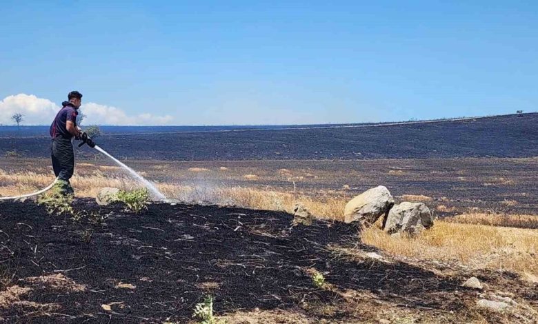 10 bin donumluk arazi alevlere teslim oldu 08dbfd2f7543 |