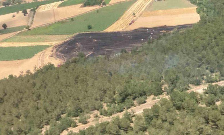 30 donumluk bugday tarlasi kule dondu 969765bb3e79 |