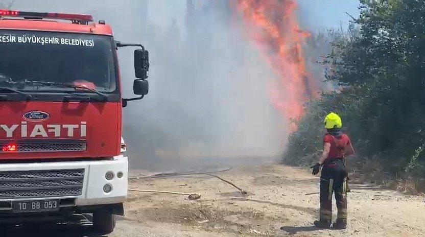 40 dereceyi asan sicaklik ve ruzgarin etkisiyle yangin kisa surede buyudu b21957686a97 |